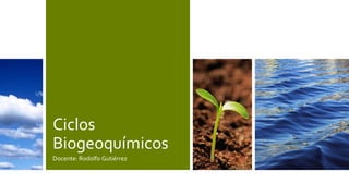 Ciclos
Biogeoquímicos
Docente: Rodolfo Gutiérrez
 