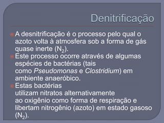 A   desnitrificação é o processo pelo qual o
  azoto volta à atmosfera sob a forma de gás
  quase inerte (N2).
 Este processo ocorre através de algumas
  espécies de bactérias (tais
  como Pseudomonas e Clostridium) em
  ambiente anaeróbico.
 Estas bactérias
  utilizam nitratos alternativamente
  ao oxigênio como forma de respiração e
  libertam nitrogênio (azoto) em estado gasoso
  (N2).
 