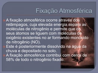 A  fixação atmosférica ocorre através dos
  relâmpagos, cuja elevada energia separa as
  moléculas de nitrogênio e permite que os
  seus átomos se liguem com moléculas de
  oxigênio existentes no ar formando monóxido
  de nitrogênio (NO).
 Este é posteriormente dissolvido na água da
  chuva e depositado no solo.
 A fixação atmosférica contribui com cerca de
  58% de todo o nitrogênio fixado.
 