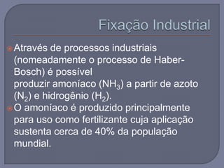  Através  de processos industriais
  (nomeadamente o processo de Haber-
  Bosch) é possível
  produzir amoníaco (NH3) a partir de azoto
  (N2) e hidrogênio (H2).
 O amoníaco é produzido principalmente
  para uso como fertilizante cuja aplicação
  sustenta cerca de 40% da população
  mundial.
 