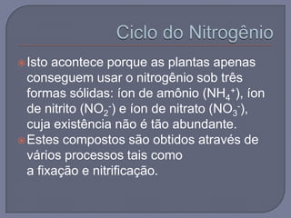  Isto acontece porque as plantas apenas
  conseguem usar o nitrogênio sob três
  formas sólidas: íon de amônio (NH4+), íon
  de nitrito (NO2-) e íon de nitrato (NO3-),
  cuja existência não é tão abundante.
 Estes compostos são obtidos através de
  vários processos tais como
  a fixação e nitrificação.
 