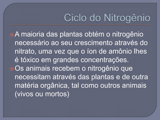 A  maioria das plantas obtém o nitrogênio
  necessário ao seu crescimento através do
  nitrato, uma vez que o íon de amônio lhes
  é tóxico em grandes concentrações.
 Os animais recebem o nitrogênio que
  necessitam através das plantas e de outra
  matéria orgânica, tal como outros animais
  (vivos ou mortos)
 
