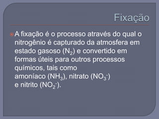 A fixação é o processo através do qual o
 nitrogênio é capturado da atmosfera em
 estado gasoso (N2) e convertido em
 formas úteis para outros processos
 químicos, tais como
 amoníaco (NH3), nitrato (NO3-)
 e nitrito (NO2-).
 