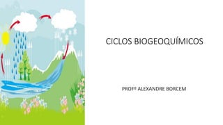 CICLOS BIOGEOQUÍMICOS
PROFº ALEXANDRE BORCEM
 