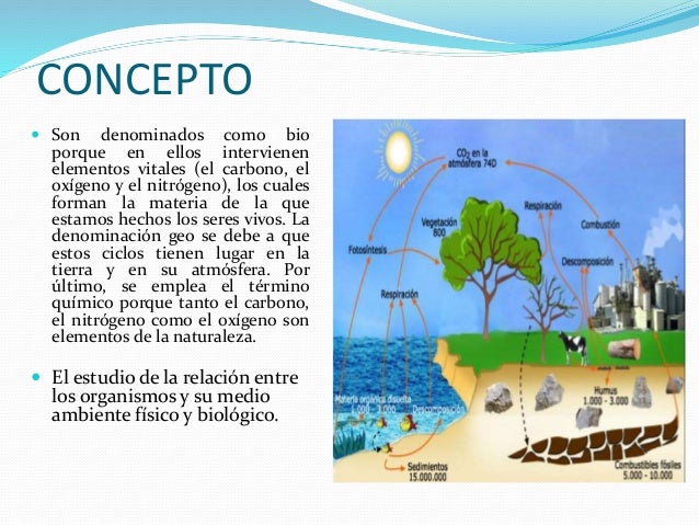 Ciclos biogeoquímicos exposiciones