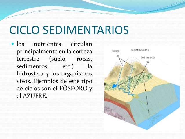 Ciclos biogeoquímicos exposiciones