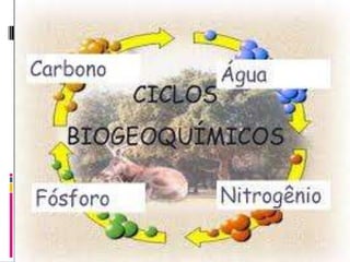 Ciclos biogeoquímicos por Janneth Caiza