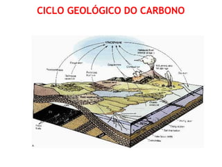 CICLO GEOLÓGICO DO CARBONO
 