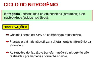 Nitrogênio - constituição de aminoácidos (proteínas) e de
nucleotídeos (ácidos nucléicos).
CICLO DO NITROGÊNIO
OBSERVAÇÕES
Constitui cerca de 78% da composição atmosférica.
Plantas e animais não utilizam diretamente o nitrogênio da
atmosfera.
As reações de fixação e transformação do nitrogênio são
realizadas por bactérias presente no solo.
 