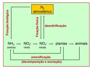 N2
atmosférico
NO2
-
nitrito
NO3
-
nitrato
animais
amonificação
(decomposição e excreção)
desnitrificação
NH3
amônia
Fixação
biológica
Fixação
física
plantas
 