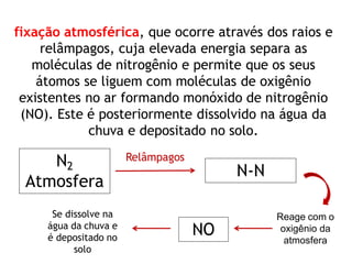 fixação atmosférica, que ocorre através dos raios e
relâmpagos, cuja elevada energia separa as
moléculas de nitrogênio e permite que os seus
átomos se liguem com moléculas de oxigênio
existentes no ar formando monóxido de nitrogênio
(NO). Este é posteriormente dissolvido na água da
chuva e depositado no solo.
N2
Atmosfera
N-N
Relâmpagos
Reage com o
oxigênio da
atmosfera
NO
Se dissolve na
água da chuva e
é depositado no
solo
 