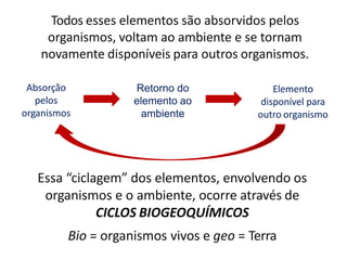 Todos esses elementos são absorvidos pelos
organismos, voltam ao ambiente e se tornam
novamente disponíveis para outros organismos.
Absorção
pelos
organismos
Retorno do
elemento ao
ambiente
Elemento
disponível para
outro organismo
Essa “ciclagem” dos elementos, envolvendo os
organismos e o ambiente, ocorre através de
CICLOS BIOGEOQUÍMICOS
Bio = organismos vivos e geo = Terra
 