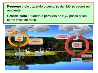 Pequeno ciclo : quando o percurso da H2O só ocorre no
ambiente.
Grande ciclo : quando o percurso da H2O passa pelos
seres vivos do meio.
 