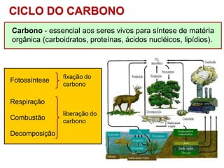 Fotossíntese
fixação do
carbono
Carbono - essencial aos seres vivos para síntese de matéria
orgânica (carboidratos, proteínas, ácidos nucléicos, lipídios).
Respiração
Combustão
Decomposição
liberação do
carbono
CICLO DO CARBONO
 