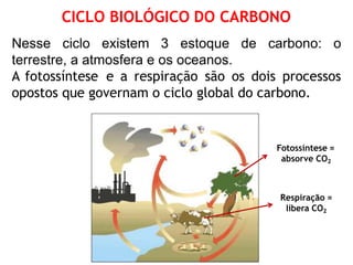 Nesse ciclo existem 3 estoque de carbono: o
terrestre, a atmosfera e os oceanos.
A fotossíntese e a respiração são os dois processos
opostos que governam o ciclo global do carbono.
CICLO BIOLÓGICO DO CARBONO
Fotossíntese =
absorve CO2
Respiração =
libera CO2
 
