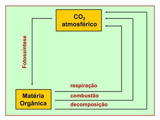 CO2
atmosférico
Matéria
Orgânica
Fotossíntese
respiração
combustão
decomposição
 