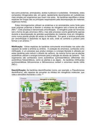 tais como proteínas, aminoácidos, ácidos nucleicos e nucleótides. Entretanto, estes
compostos nitrogenados são, em geral, rapidamente decompostos em substâncias
mais simples por organismos que vivem nos solos. As bactérias saprófitas e várias
espécies de fungos são os principais responsáveis pela decomposição de materiais
orgânicos mortos.
Estes microrganismos utilizam as proteínas e os aminoácidos como fonte para
suas próprias proteínas e liberam o excesso de nitrogênio sob a forma de amônio
(NH4
+ ). Este processo é denominado amonificação. O nitrogênio pode ser fornecido
sob a forma de gás amoníaco (NH3), mas este processo ocorre geralmente apenas
durante a decomposição de grandes quantidades de materiais ricos em nitrogênio,
como numa grande porção de adubo ou fertilizante. Em geral, a amônia produzida
por amonificação é dissolvida na água do solo, onde se combina a prótons para
formar o íon amônio. (7)
Nitrificação: Várias espécies de bactérias comumente encontradas nos solos são
capazes de oxidar a amônia ou amônio. A oxidação do amoníaco, conhecida como
nitrificação, é um processo que produz energia e a energia liberada é utilizada por
estas bactérias para reduzir o dióxido de carbono, da mesma forma que as plantas
autotróficas utilizam a energia luminosa para a redução do dióxido de carbono. Tais
organismos são conhecidos como autotróficos quimiossintéticos (diferentes dos
autotróficos fotossintéticos, como as plantas e as algas). As bactérias nitrificantes
quimiossintéticas Nitrosomonas e Nitrosococcus oxidam o amoníaco dando nitrito
(NO2
-).
Desnitrificação: As bactérias desnitrificantes (como, por exemplo, a Pseudomonas
denitrificans), são capazes de converter os nitratos em nitrogênios molecular, que
volta a atmosfera fechando o ciclo. (7)
 
