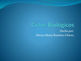 Hecho por:
Héctor Mario Ramírez Chávez
 