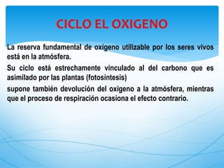 La reserva fundamental de oxígeno utilizable por los seres vivos
está en la atmósfera.
Su ciclo está estrechamente vinculado al del carbono que es
asimilado por las plantas (fotosíntesis)
supone también devolución del oxígeno a la atmósfera, mientras
que el proceso de respiración ocasiona el efecto contrario.
CICLO EL OXIGENO
 
