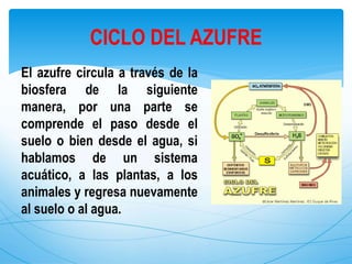 El azufre circula a través de la
biosfera de la siguiente
manera, por una parte se
comprende el paso desde el
suelo o bien desde el agua, si
hablamos de un sistema
acuático, a las plantas, a los
animales y regresa nuevamente
al suelo o al agua.
CICLO DEL AZUFRE
 