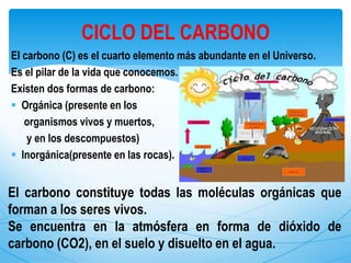 El carbono (C) es el cuarto elemento más abundante en el Universo.
Es el pilar de la vida que conocemos.
Existen dos formas de carbono:
 Orgánica (presente en los
organismos vivos y muertos,
y en los descompuestos)
 Inorgánica(presente en las rocas).
CICLO DEL CARBONO
El carbono constituye todas las moléculas orgánicas que
forman a los seres vivos.
Se encuentra en la atmósfera en forma de dióxido de
carbono (CO2), en el suelo y disuelto en el agua.
 
