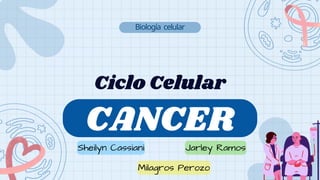 Ciclo Celular
Y
CANCER
Biología celular
Milagros Perozo
Sheilyn Cassiani Jarley Ramos
 