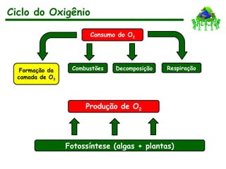 Ciclo do Oxigênio
Consumo do O2
Respiração
Decomposição
Combustões
Formação da
camada de O3
Fotossíntese (algas + plantas)
Produção de O2
 