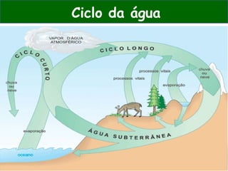 Ciclo da água
 