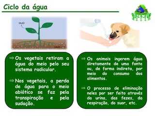Ciclo da água
Þ Os vegetais retiram a
água do meio pelo seu
sistema radicular.
Þ Nos vegetais, a perda
de água para o meio
abiótico se faz pela
transpiração e pela
sudação.
Þ Os animais ingerem água
diretamente de uma fonte
ou, de forma indireta, por
meio do consumo dos
alimentos.
Þ O processo de eliminação
neles por ser feito através
da urina, das fezes, da
respiração, do suor, etc.
 