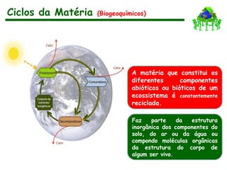 Ciclos da Matéria (Biogeoquímicos)
A matéria que constitui os
diferentes componentes
abióticos ou bióticos de um
ecossistema é constantemente
reciclada.
Faz parte da estrutura
inorgânica dos componentes do
solo, do ar ou da água ou
compondo moléculas orgânicas
da estrutura do corpo de
algum ser vivo.
 