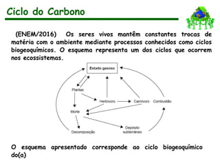(ENEM/2016) Os seres vivos mantêm constantes trocas de
matéria com o ambiente mediante processos conhecidos como ciclos
biogeoquímicos. O esquema representa um dos ciclos que ocorrem
nos ecossistemas.
O esquema apresentado corresponde ao ciclo biogeoquímico
do(a)
Ciclo do Carbono
 
