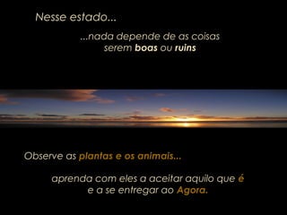 Nesse estado...
...nada depende de as coisas
serem boas ou ruins
Observe as plantas e os animais...
aprenda com eles a aceitar aquilo que é
e a se entregar ao Agora.
 
