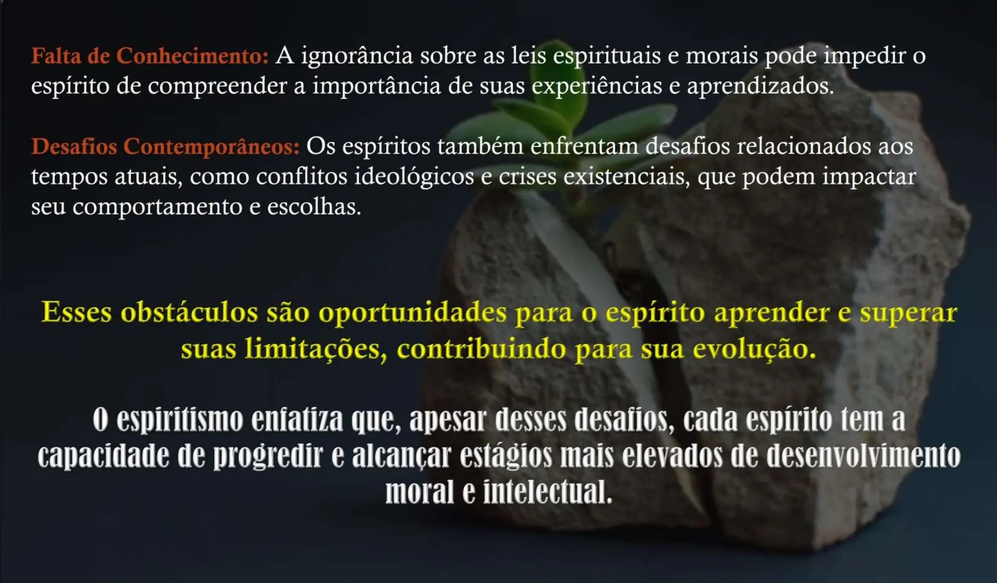 Ciclos de Aprendizados: “Uma Análise da Evolução Espiritual Através das Existências”