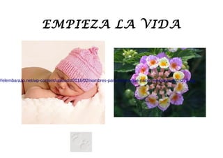 EMPIEZA LA VIDA
//elembarazo.net/wp-content/uploads/2016/02/nombres-para-bebes-que-nacen-en-mayo-480x270.jpg
 