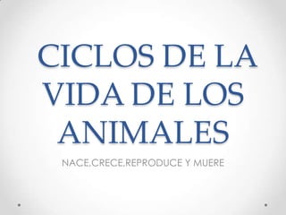 CICLOS DE LA
VIDA DE LOS
ANIMALES
NACE,CRECE,REPRODUCE Y MUERE

 