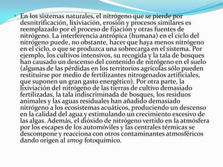  En los sistemas naturales, el nitrógeno que se pierde por
desnitrificación, lixiviación, erosión y procesos similares es
reemplazado por el proceso de fijación y otras fuentes de
nitrógeno. La interferencia antrópica (humana) en el ciclo del
nitrógeno puede, no obstante, hacer que haya menos nitrógeno
en el ciclo, o que se produzca una sobrecarga en el sistema. Por
ejemplo, los cultivos intensivos, su recogida y la tala de bosques
han causado un descenso del contenido de nitrógeno en el suelo
(algunas de las pérdidas en los territorios agrícolas sólo pueden
restituirse por medio de fertilizantes nitrogenados artificiales,
que suponen un gran gasto energético). Por otra parte, la
lixiviación del nitrógeno de las tierras de cultivo demasiado
fertilizadas, la tala indiscriminada de bosques, los residuos
animales y las aguas residuales han añadido demasiado
nitrógeno a los ecosistemas acuáticos, produciendo un descenso
en la calidad del agua y estimulando un crecimiento excesivo de
las algas. Además, el dióxido de nitrógeno vertido en la atmósfera
por los escapes de los automóviles y las centrales térmicas se
descompone y reacciona con otros contaminantes atmosféricos
dando origen al smog fotoquímico.
 