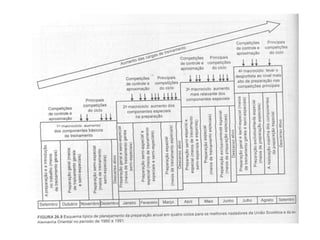 ciclosdetreinamento02-100605065638-phpapp01.pdf