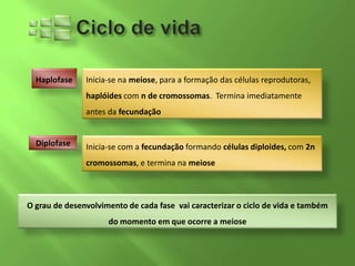 Haplofase    Inicia-se na meiose, para a formação das células reprodutoras,
               haplóides com n de cromossomas. Termina imediatamente
               antes da fecundação


  Diplofase    Inicia-se com a fecundação formando células diploides, com 2n
               cromossomas, e termina na meiose



O grau de desenvolvimento de cada fase vai caracterizar o ciclo de vida e também
                     do momento em que ocorre a meiose
 