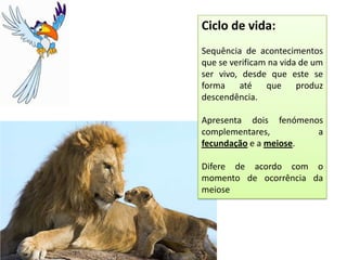 Ciclo de vida:
Sequência de acontecimentos
que se verificam na vida de um
ser vivo, desde que este se
forma até que produz
descendência.

Apresenta dois fenómenos
complementares,        a
fecundação e a meiose.

Difere de acordo com o
momento de ocorrência da
meiose
 