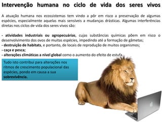 Intervenção humana no ciclo de vida dos seres vivos
A atuação humana nos ecossistemas tem vindo a pôr em risco a preservação de algumas
espécies, especialmente aquelas mais sensíveis a mudanças drásticas. Algumas interferências
diretas nos ciclos de vida dos seres vivos são:

- atividades industriais ou agropecuárias, cujas substâncias químicas põem em risco o
desenvolvimento dos ovos de muitas espécies, impedindo até a formação de gâmetas;
- destruição de habitats, e portanto, de locais de reprodução de muitos organismos;
- caça e pesca;
- alterações climáticas a nível global como o aumento do efeito de estufa.
 Tudo isto contribui para alterações nos
 ritmos de crescimento populacional das
 espécies, pondo em causa a sua
 sobrevivência.
 