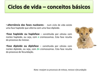 Ciclos de vida – conceitos básicos

• alternância das fases nucleares - num ciclo de vida existe
uma fase haploide que alterna com uma fase diploide.

•Fase haploide ou haplofase – constituída por células com
núcleo haploide, ou seja, com n cromossomas. Esta fase resulta
do processo da meiose.

•Fase diploide ou diplofase – constituída por células com
núcleo diploide, ou seja, com 2n cromossomas. Esta fase resulta
do processo de fecundação.




                          Nota: revejam os processos de mitose, meiose e fecundação
 