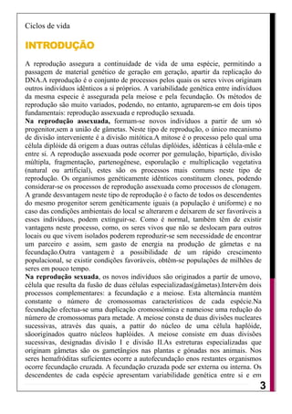Ciclos de vida

INTRODUÇÃO
A reprodução assegura a continuidade de vida de uma espécie, permitindo a
passagem de material genético de geração em geração, apartir da replicação do
DNA.A reprodução é o conjunto de processos pelos quais os seres vivos originam
outros indivíduos idênticos a si próprios. A variabilidade genética entre indivíduos
da mesma especie é assegurada pela meiose e pela fecundação. Os métodos de
reprodução são muito variados, podendo, no entanto, agruparem-se em dois tipos
fundamentais: reprodução assexuada e reprodução sexuada.
Na reprodução assexuada, formam-se novos indivíduos a partir de um só
progenitor,sem a união de gâmetas. Neste tipo de reprodução, o único mecanismo
de divisão interveniente é a divisão mitótica.A mitose é o processo pelo qual uma
célula diplóide dá origem a duas outras células diplóides, idênticas à célula-mãe e
entre si. A reprodução assexuada pode ocorrer por gemulação, bipartição, divisão
múltipla, fragmentação, partenogénese, esporulação e multiplicação vegetativa
(natural ou artificial), estes são os processos mais comuns neste tipo de
reprodução. Os organismos genéticamente idênticos constituem clones, podendo
considerar-se os processos de reprodução assexuada como processos de clonagem.
A grande desvantagem neste tipo de reprodução é o facto de todos os descendentes
do mesmo progenitor serem genéticamente iguais (a população é uniforme) e no
caso das condições ambientais do local se alterarem e deixarem de ser favoráveis a
esses indivíduos, podem extinguir-se. Como é normal, também têm de existir
vantagens neste processo, como, os seres vivos que não se deslocam para outros
locais ou que vivem isolados poderem reproduzir-se sem necessidade de encontrar
um parceiro e assim, sem gasto de energia na produção de gâmetas e na
fecundação.Outra vantagem é a possibilidade de um rápido crescimento
populacional, se existir condições favoráveis, obtêm-se populações de milhões de
seres em pouco tempo.
Na reprodução sexuada, os novos indivíduos são originados a partir de umovo,
célula que resulta da fusão de duas células especializadas(gâmetas).Intervêm dois
processos complementares: a fecundação e a meiose. Esta alternância mantém
constante o número de cromossomas característicos de cada espécie.Na
fecundação efectua-se uma duplicação cromossómica e nameiose uma redução do
número de cromossomas para metade. A meiose consta de duas divisões nucleares
sucessivas, através das quais, a pattir do núcleo de uma célula haplóide,
sãooriginados quatro núcleos haplóides. A meiose consiste em duas divisões
sucessivas, designadas divisão I e divisão II.As estreturas especializadas que
originam gâmetas são os gametângios nas plantas e gónadas nos animais. Nos
seres hemafróditas suficientes ocorre a autofecundação enos restantes organismos
ocorre fecundação cruzada. A fecundação cruzada pode ser externa ou interna. Os
descendentes de cada espécie apresentam variabilidade genética entre si e em
                                                                                   3
 
