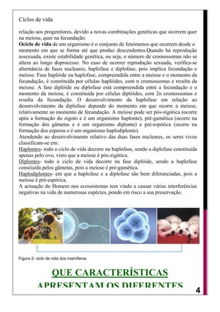 Ciclos de vida

relação aos progenitores, devido a novas combinações genéticas que ocorrem quer
na meiose, quer na fecundação.
Ociclo de vida de um organismo é o conjunto de fenómenos que ocorrem desde o
momento em que se forma até que produz descendentes.Quando há reprodução
assexuada, existe estabilidade genética, ou seja, o número de cromossomas não se
altera ao longo doprocesso. No caso de ocorrer reprodução sexuada, verifica-se
alternância de fases nucleares, haplofase e diplofase, pois implica fecundação e
meiose. Fase haplóide ou haplofase, compreendida entre a meiose e o momento da
fecundação, é constituída por células haplóides, com n cromossomas e resulta da
meiose. A fase diplóide ou diplofase está compreendida entre a fecundação e o
momento da meiose, é constituída por células diplóides, com 2n cromossomas e
resulta da fecundação. O desenvolvimento da haplofase em relação ao
desenvolvimento da diplofase depende do momento em que ocorre a meiose,
relativamente ao momento de fecundação. A meiose pode ser pós-zigótica (ocorre
após a formação do zigoto e é um organismo haplonte), pré-gamética (ocorre na
formação dos gâmetas e é um organismo diplonte) e pré-espórica (ocorre na
formação dos esporos e é um organismo haplodiplonte).
Atendendo ao desenvolvimento relativo das duas fases nucleares, os seres vivos
classificam-se em:
Haplontes- todo o ciclo de vida decorre na haplofase, sendo a diplofase constituida
apenas pelo ovo, visto que a meiose é pós-zigótica.
Diplontes- todo o ciclo de vida decorre na fase diplóide, sendo a haplofase
constiuida pelos gâmetas, pois a meiose é pré-gamética.
Haplodiplontes- em que a haplofase e a diplofase são bem diferenciadas, pois a
meiose é pré-espórica.
A actuação do Homem nos ecossistemas tem vindo a causar várias interferências
negativas na vida de numerosas espécies, pondo em risco a sua preservação.




Figura 2- ciclo de vida dos mamíferos


           QUE CARACTERÍSTICAS
         APRESENTAM OS DIFERENTES                                                 4
              CICLOS DE VIDA?
 
