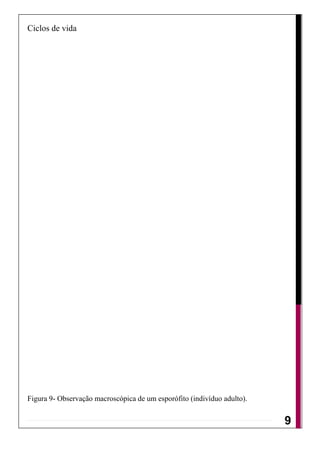 Ciclos de vida




Figura 9- Observação macroscópica de um esporófito (indivíduo adulto).


                                                                         9
 