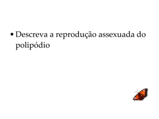 Descreva a reprodução assexuada do polipódio 