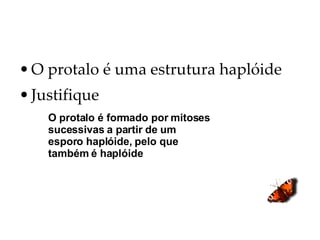O protalo é uma estrutura haplóide Justifique O protalo é formado por mitoses sucessivas a partir de um esporo haplóide, pelo que também é haplóide 