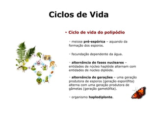 Ciclos de Vida ►   Ciclo de vida do polipódio ▹  meiose  pré-espórica  – aquando da formação dos esporos. ▹  fecundação dependente da água. ▹  alternância de fases nucleares  – entidades de núcleo haplóide alternam com entidades de núcleo diplóide. ▹  alternância de gerações  – uma geração produtora de esporos (geração esporófita) alterna com uma geração produtora de gâmetas (geração gametófita). ▹  organismo  haplodiplonte . 