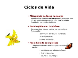 Ciclos de Vida ►   Alternância de fases nucleares Num ciclo de vida uma  fase haplóide  (entidades com núcleo haplóide) alterna com uma  fase diplóide  (entidades com núcleo diplóide). Compreendida entre a meiose e o momento da fecundação: . constituída por células haplóides; . n cromossomas; .Resulta da meiose. Compreendida entre a fecundação e o momento da meiose: . constituída por células diplóides; . 2n cromossomas; . resulta da fecundação. ►   Fase haplóide ou haplofase ►   Fase diplóide ou diplofase 