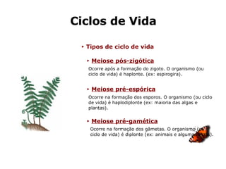 Ciclos de Vida ►   Tipos de ciclo de vida Ocorre após a formação do zigoto. O organismo (ou ciclo de vida) é haplonte. (ex: espirogira). ►   Meiose pós-zigótica ►   Meiose pré-espórica ►   Meiose pré-gamética Ocorre na formação dos esporos. O organismo (ou ciclo de vida) é haplodiplonte (ex: maioria das algas e plantas). Ocorre na formação dos gâmetas. O organismo (ou ciclo de vida) é diplonte (ex: animais e algumas algas). 