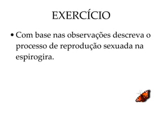 EXERCÍCIO Com base nas observações descreva o processo de reprodução sexuada na espirogira. 